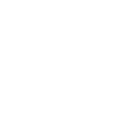 Hispa