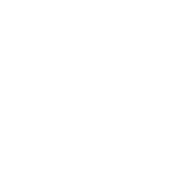 Toyo Tyres